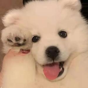 婷婷丁香五月缴情视频
